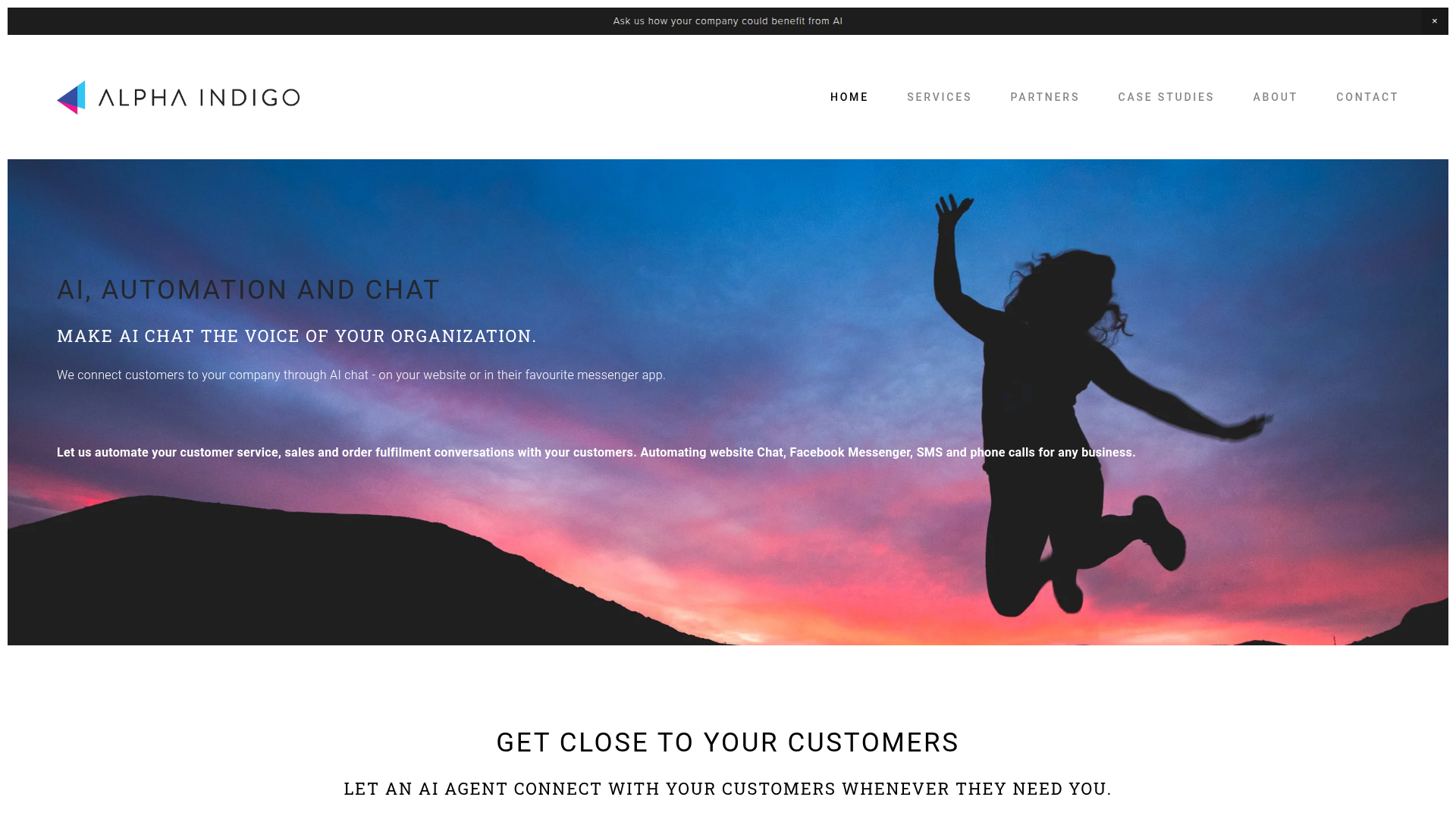AlphaIndigo screenshot
