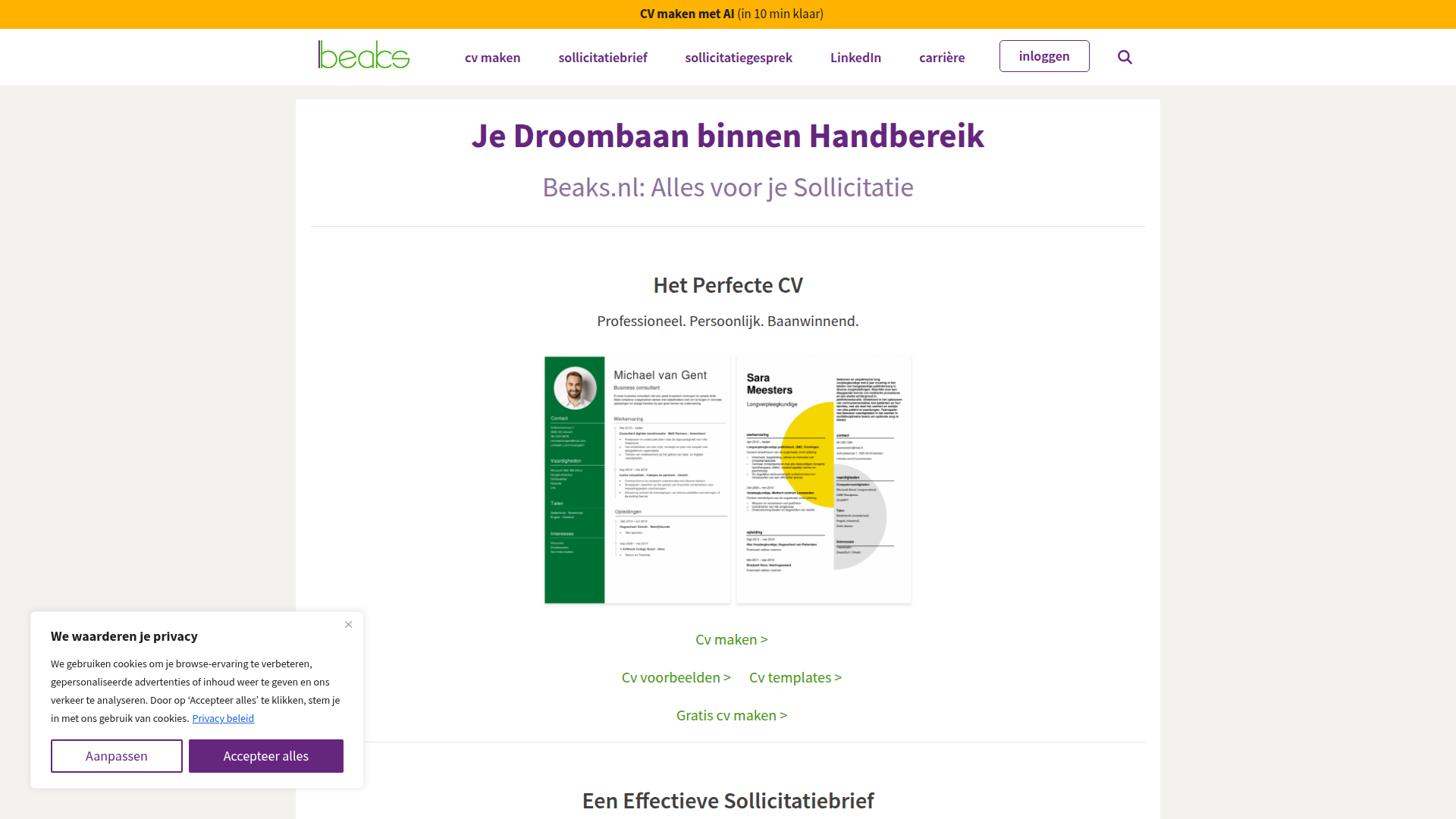 Beaks.nl screenshot