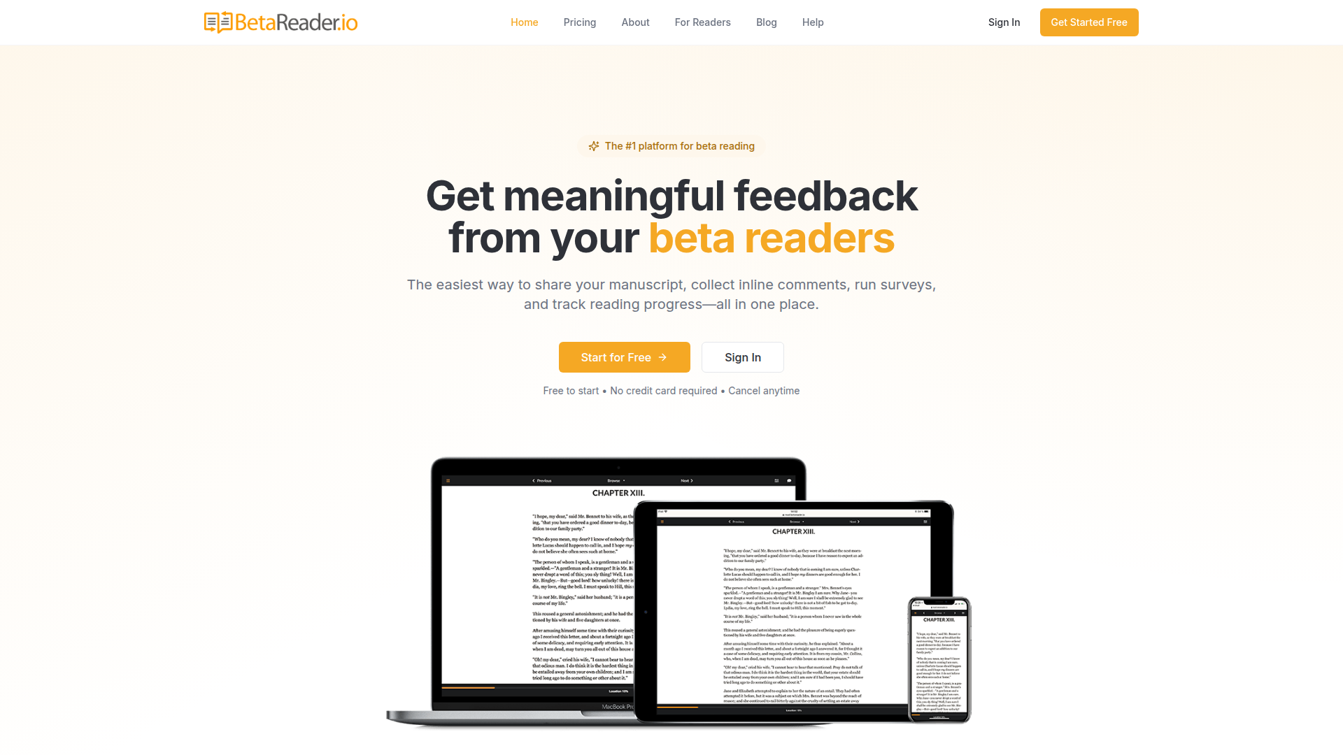 BetaReader.io screenshot