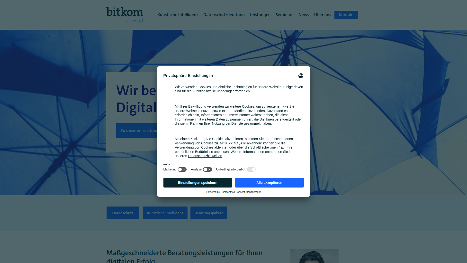 Bitkom Consult screenshot