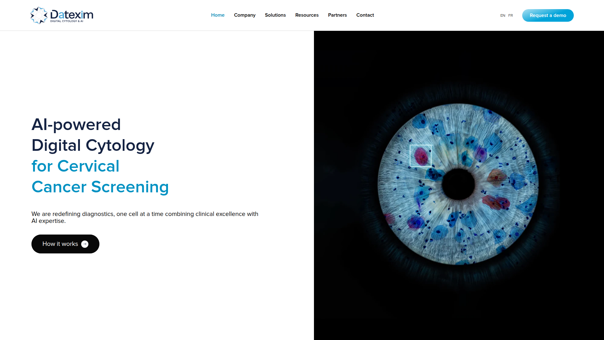Datexim screenshot