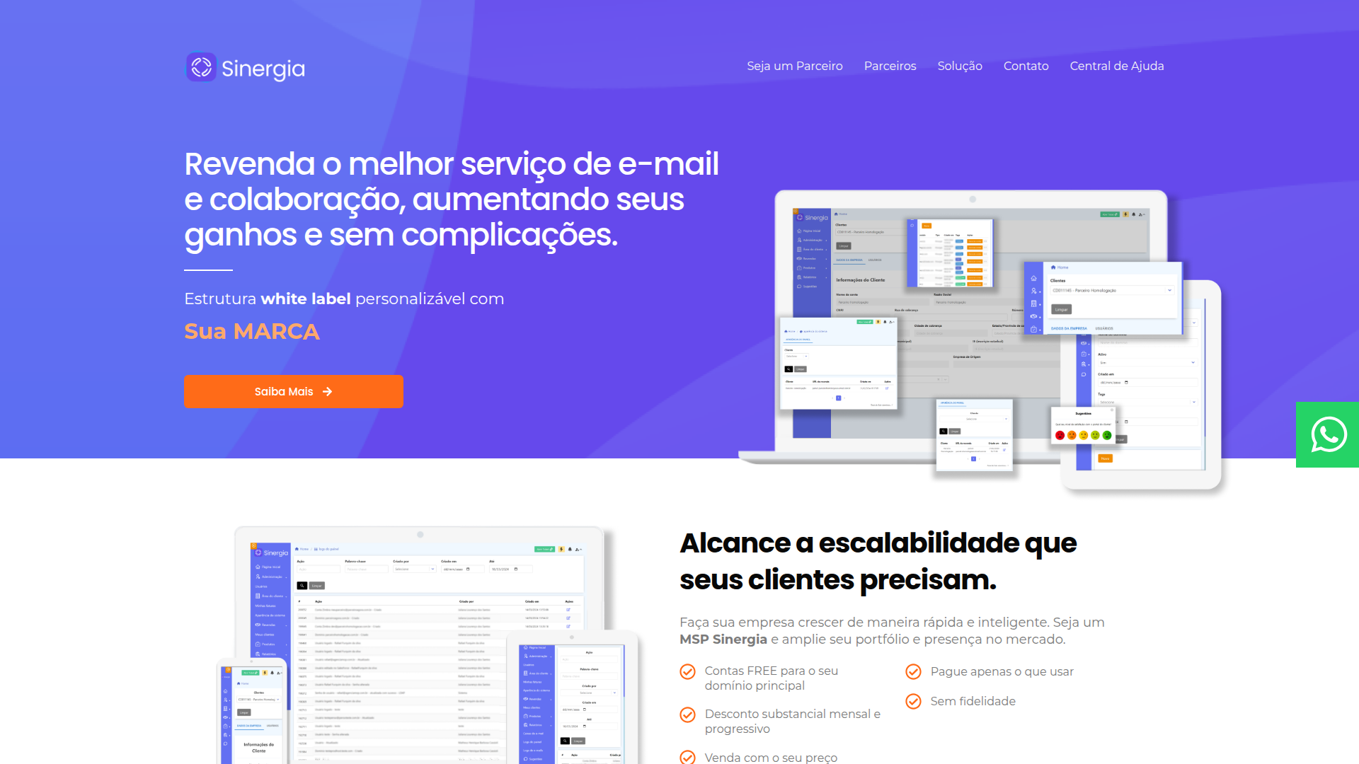 Sinergia Email screenshot