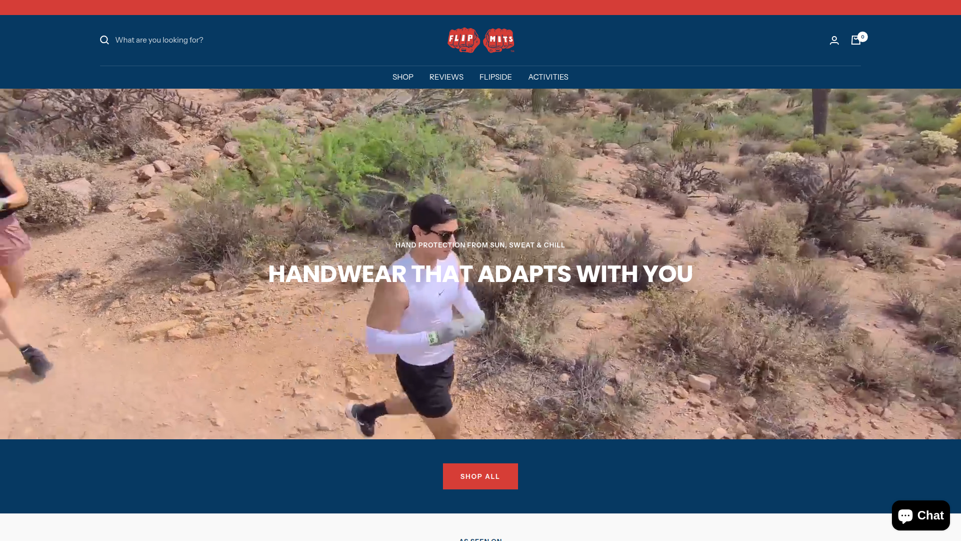 FLIPMITS screenshot