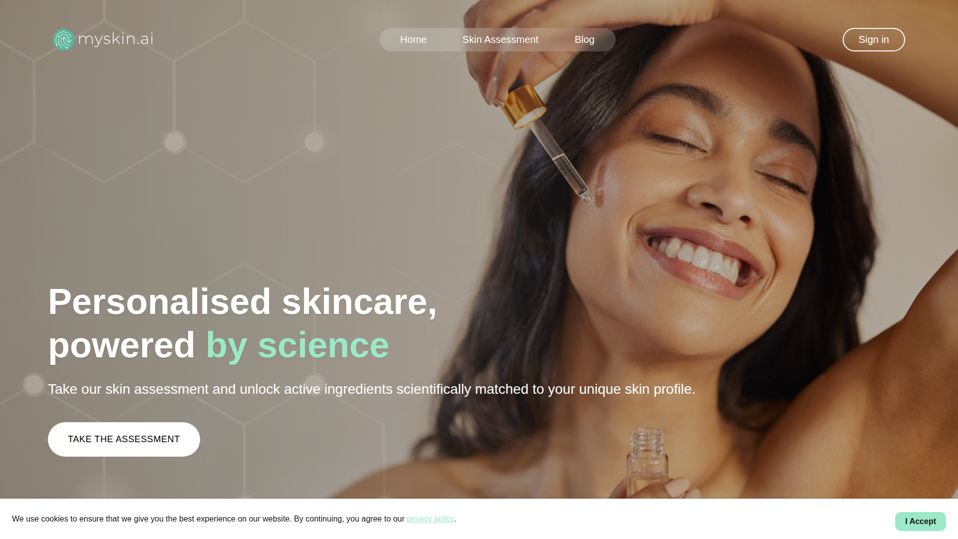 MySkin screenshot