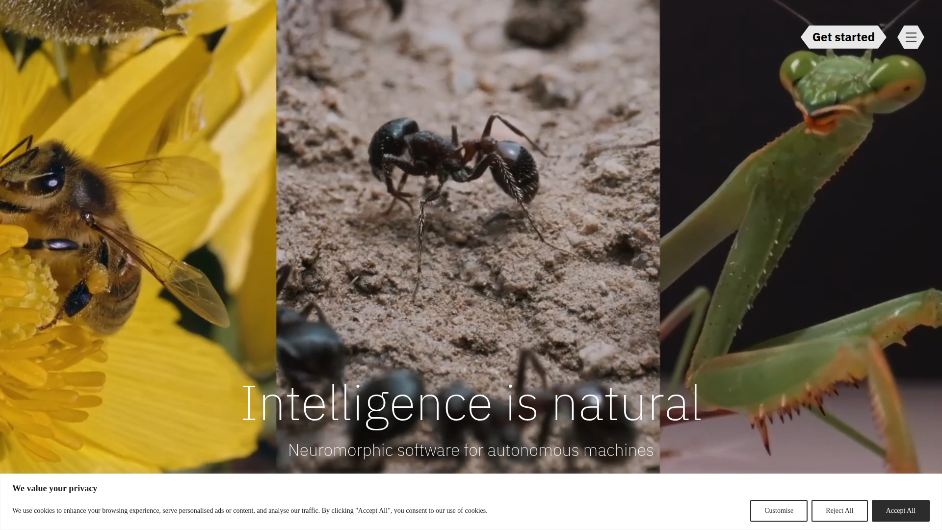 Opteran screenshot