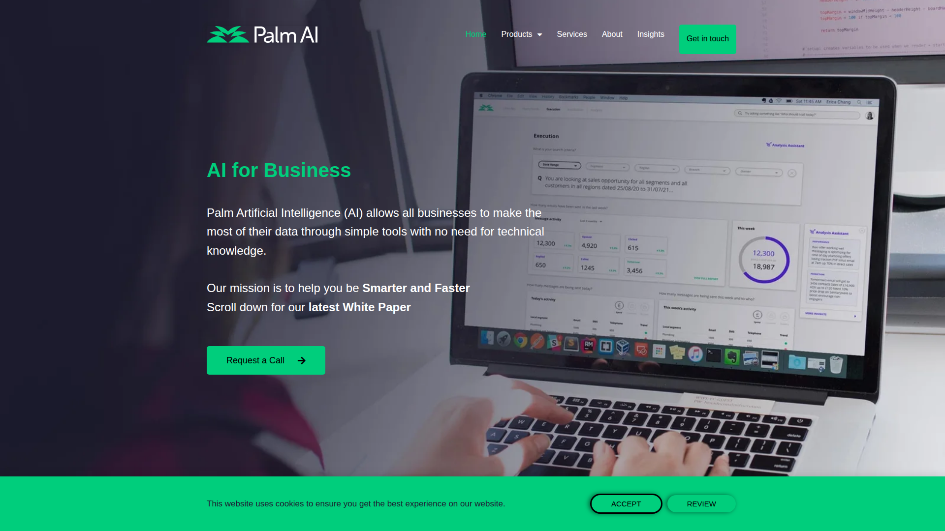 Palm AI screenshot