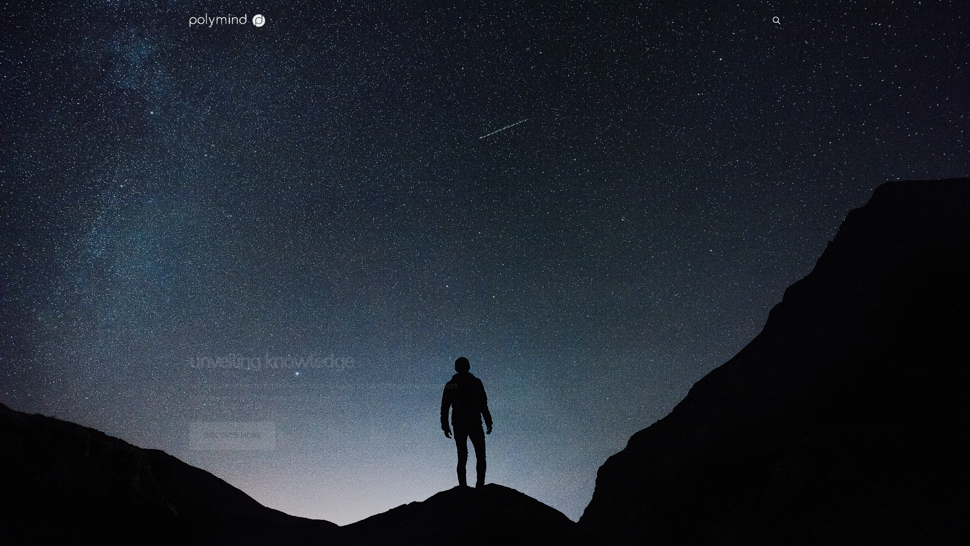 polymind screenshot
