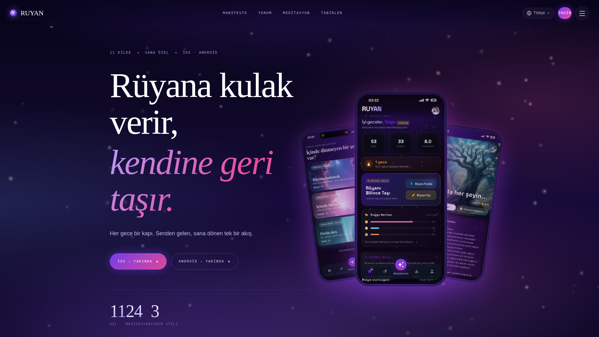 RUYAN screenshot
