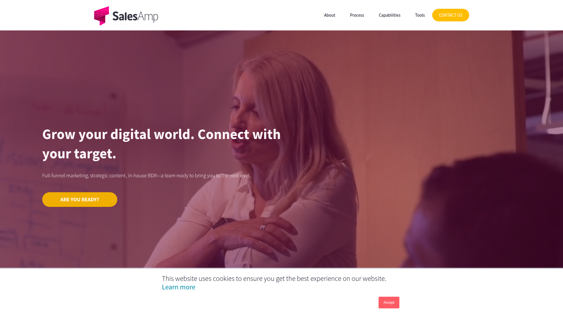 SalesAmp screenshot
