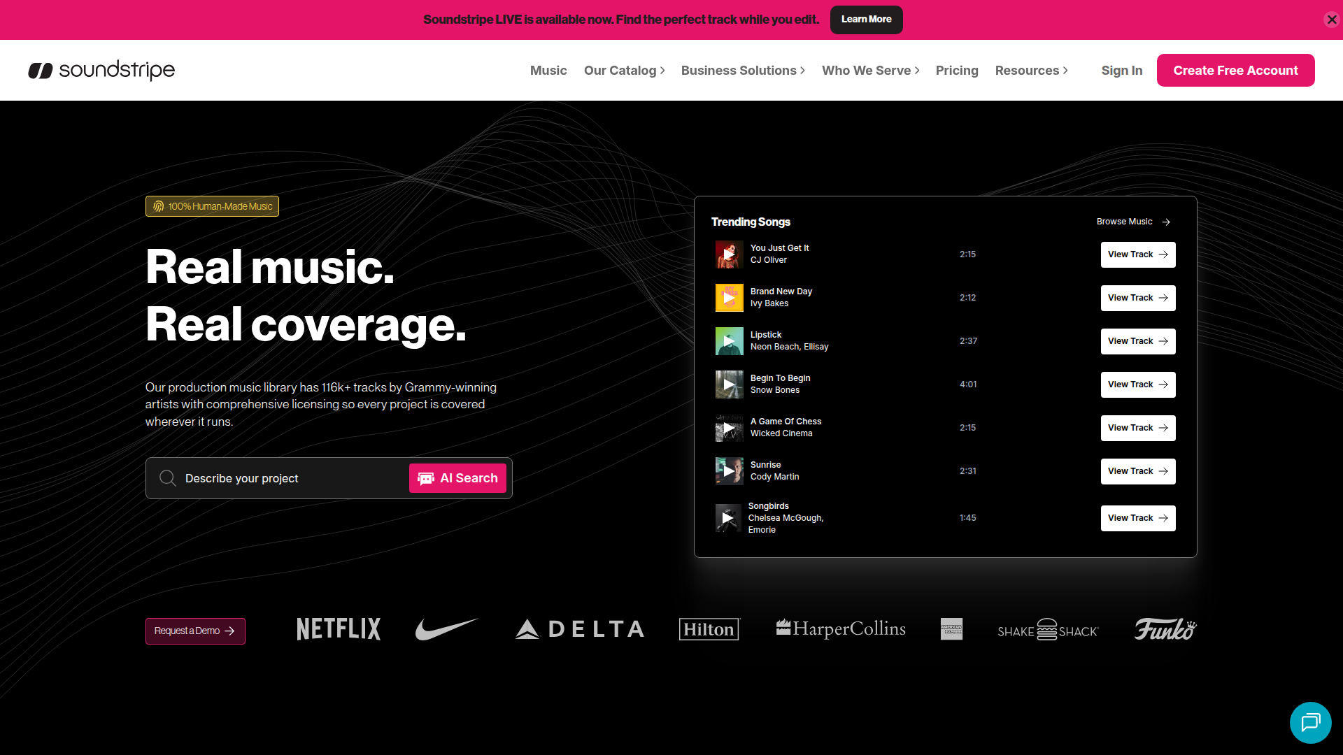 Soundstripe screenshot