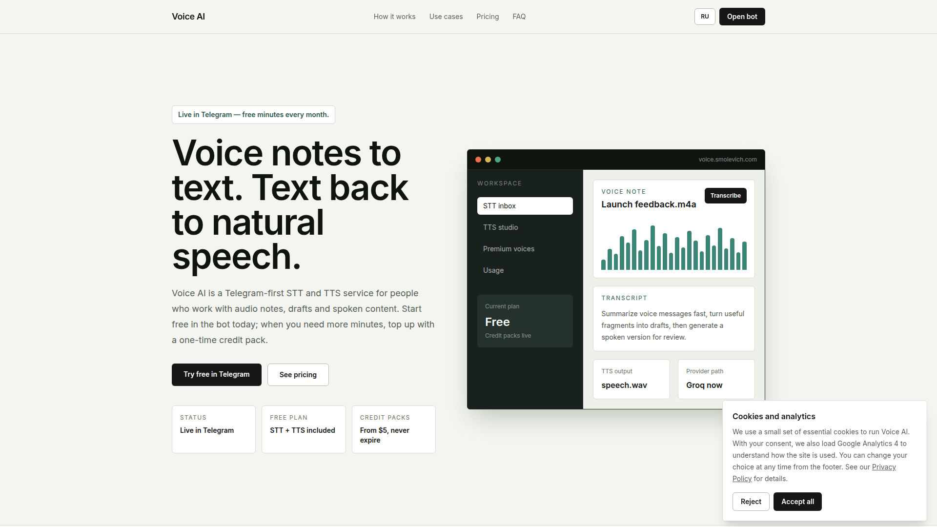 Voice AI screenshot